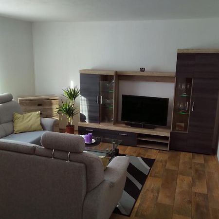 Apartman Pod Rickami Apartment Rokytnice v Orlických Horách Bagian luar foto