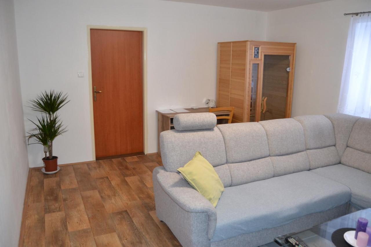 Apartman Pod Rickami Apartment Rokytnice v Orlických Horách Bagian luar foto